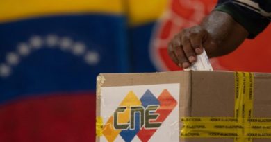 Así se desarrollan las Elecciones Presidenciales