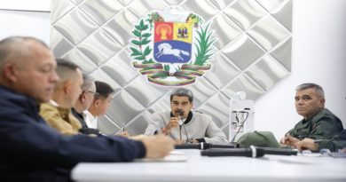 Jefe de Estado condena comentarios fascistas sobre accidente de vicepresidenta