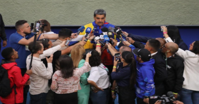 Jefe de Estado: Respeto al proceso electoral es respetar la Constitución