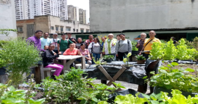 Producción de de alimentos en Caracas impulsa economía nacional