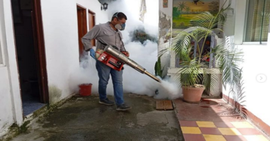 Jornadas de prevención del dengue se realizan en el estado Mérida
