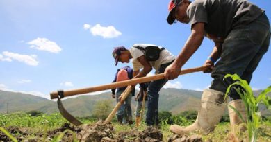 Venezuela alcanza el duodécimo trimestre de crecimiento económico consecutivo