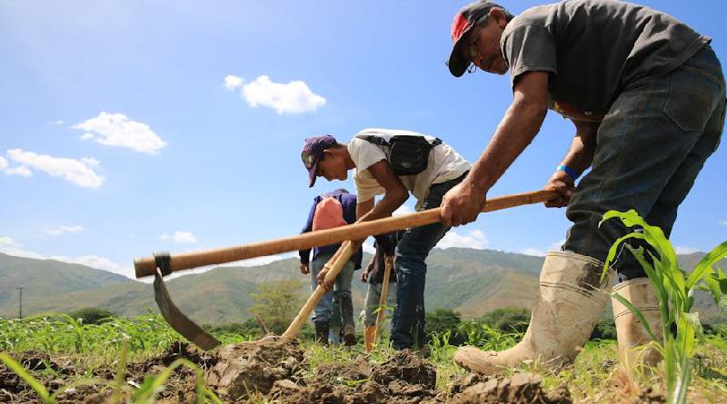 Venezuela alcanza el duodécimo trimestre de crecimiento económico consecutivo