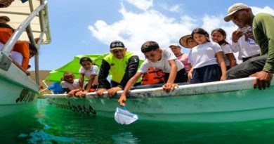 Semilleros Científicos de Sucre participan en liberación de Caballitos de Mar