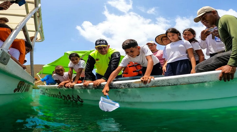 Semilleros Científicos de Sucre participan en liberación de Caballitos de Mar