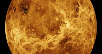 Detectan posibles signos de vida en las nubes de Venus
