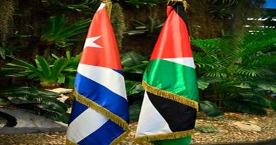 Canciller cubano reitera respaldo a derechos del pueblo de Palestina