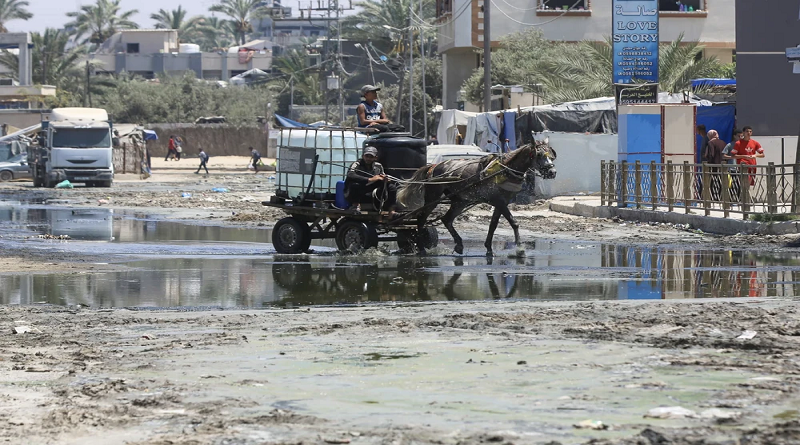 OMS detectan virus de la polio en aguas residuales en Gaza
