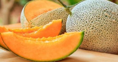 Melón y sus beneficios para la salud