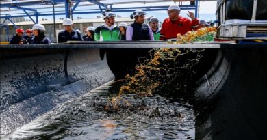 Inspeccionan planta Petromaca en Carabobo para reevaluación de aceites lubricantes