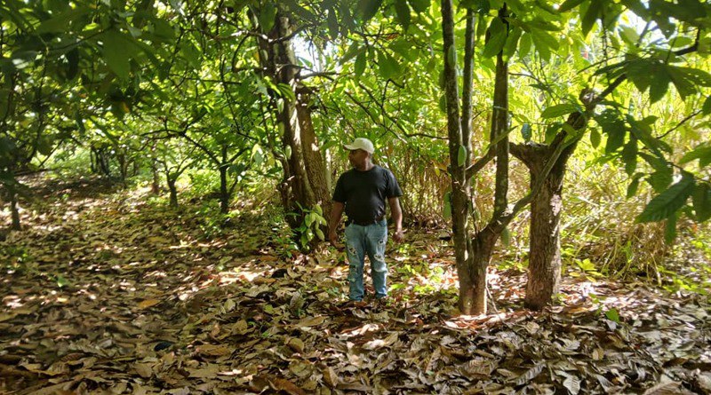 Inicia validación de productores agrourbanos en Bolívar