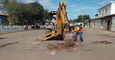 bacheo