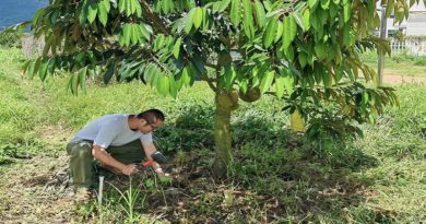 China promueve uso de prácticas ecológicas en productos agrícolas