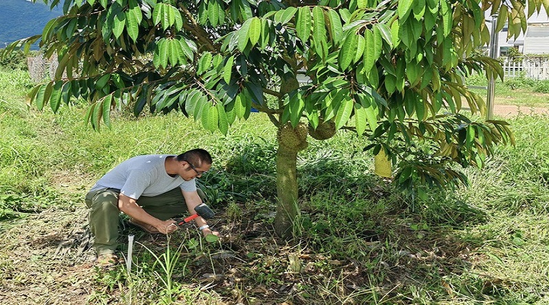 China promueve uso de prácticas ecológicas en productos agrícolas