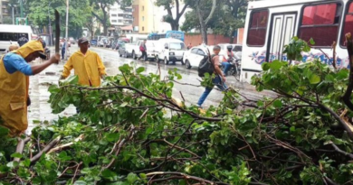 Remueven árboles caídos por fuertes lluvias en El Paraíso
