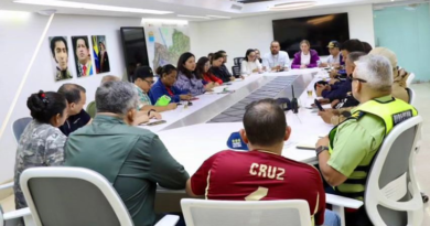 Instalan Órgano de Defensa Integral del SEN en Caracas