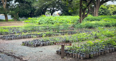 Siembran cinco mil plantas en Zona Protectora Mitar Nakichenovich de Portuguesa