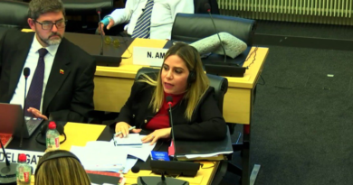 Venezuela muestra ante la ONU avances en la lucha contra la discriminación racial