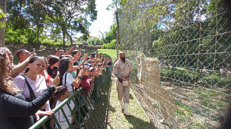 Parque Recreacional Zoológico de Caricuao ofrece gran potencial educativo