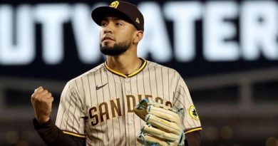 Robert Suárez llega a 26 rescates en la temporada