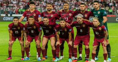Vinotinto