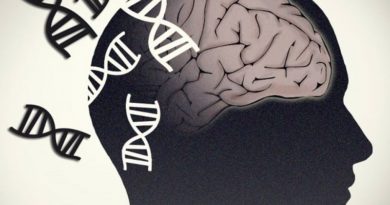 Identifican nuevos factores de riesgos asociados al desarrollo de la demencia
