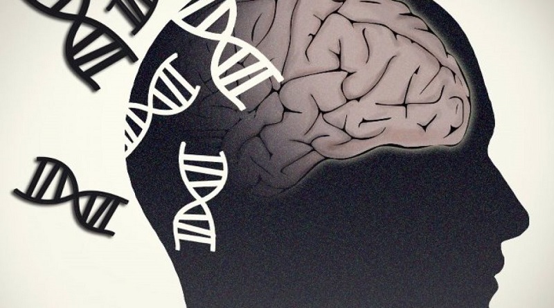 Identifican nuevos factores de riesgos asociados al desarrollo de la demencia