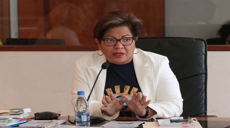 Comisión de Familias avanza en reforma de Ley Protección de Niños en Videojuegos