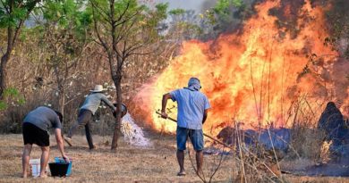 Incendios en Brasil disparan las emisiones de carbono a cifras récord
