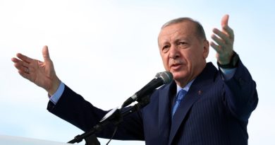 Presidente Erdogan llama a una alianza islámica contra Israel