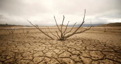 Científicos elevan propuestas para combatir la sequía en el mundo