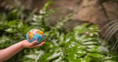Colombia continúa preparativos para cumbre COP16