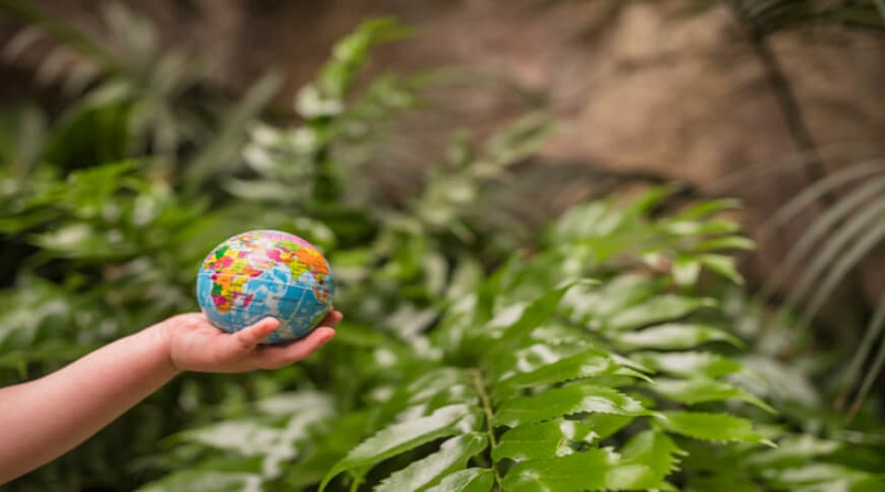 Colombia continúa preparativos para cumbre COP16