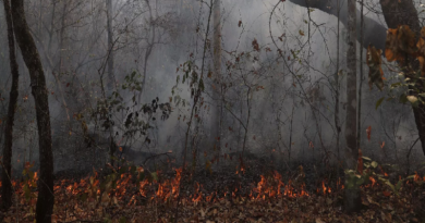 Bolivia declara emergencia nacional por los incendios forestales