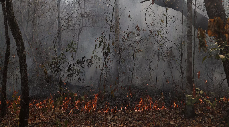 Bolivia declara emergencia nacional por los incendios forestales