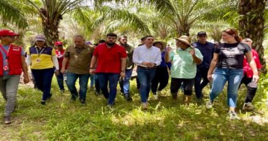 Conforman Consejo Productivo de Productores de Palma Aceitera en Monagas