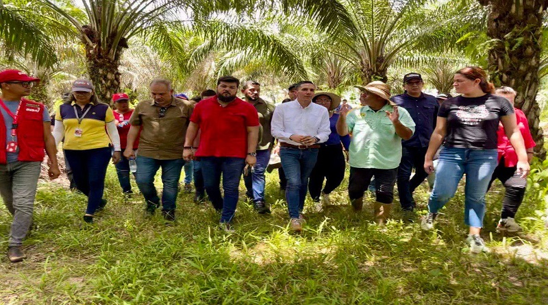 Conforman Consejo Productivo de Productores de Palma Aceitera en Monagas
