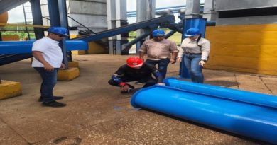 Plan de Cogestión de Maíz 2024 prioriza calidad de almacenamiento en Guárico