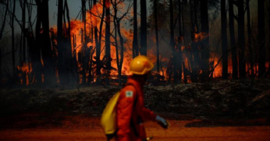 Reportan gran incendio forestal en la ciudad de Brasilia