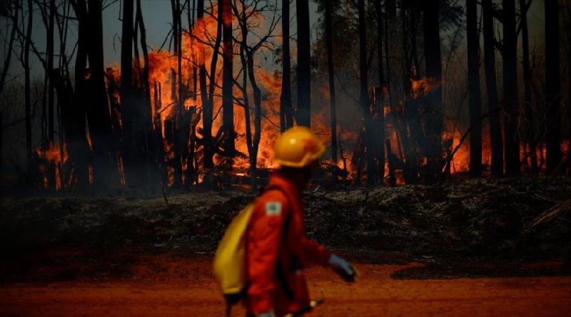 Reportan gran incendio forestal en la ciudad de Brasilia