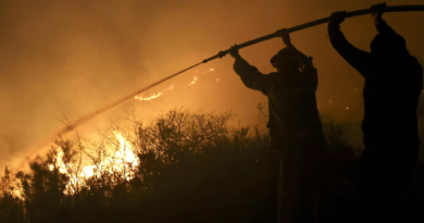 Incendios arrasan casi 40 mil hectáreas de vegetación durante el año en Ecuador