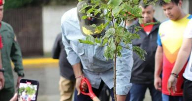 Jefe de Estado siembra árbol de la esperanza para honrar a la juventud venezolana