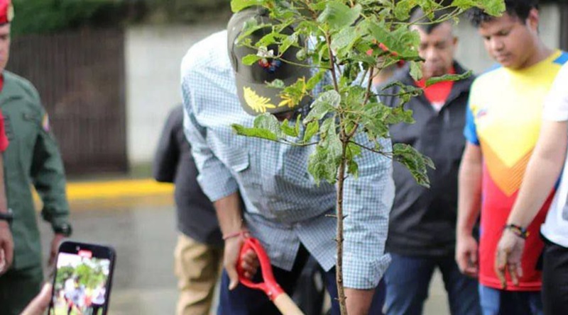 Jefe de Estado siembra árbol de la esperanza para honrar a la juventud venezolana