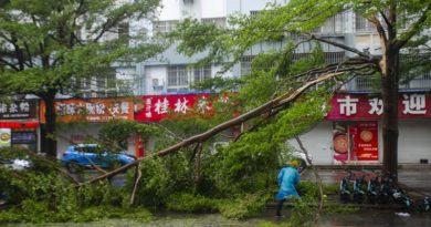 Supertifón Yagi afecta a comunidades en provincias de China