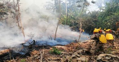 Bomberos y lluvias controlan incendios forestales en Santa Cruz de Bolivia