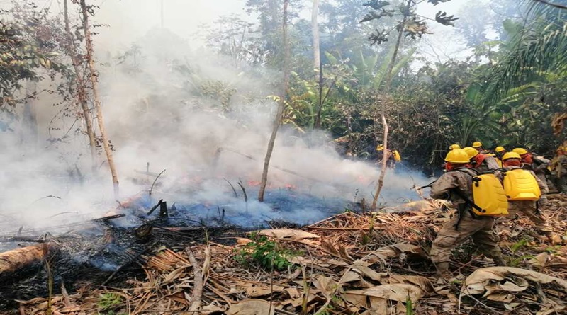 Bomberos y lluvias controlan incendios forestales en Santa Cruz de Bolivia