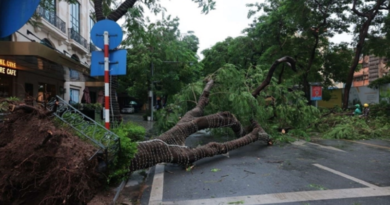 Supertifón Yagi causa estragos en Vietnam tras su paso por China