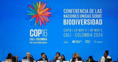 Presentan Estrategia Nacional de Conservación de la Biodiversidad en la COP 16