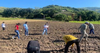 Plan “Comuna Joven” fortalece la siembra orgánica en Aragua