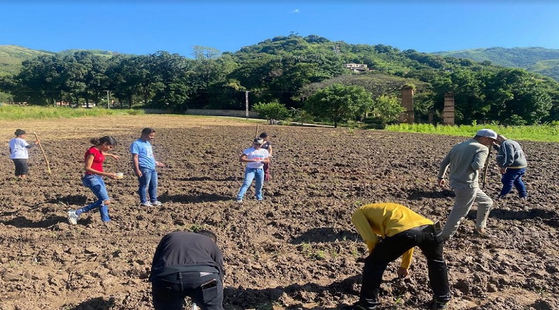 Plan “Comuna Joven” fortalece la siembra orgánica en Aragua